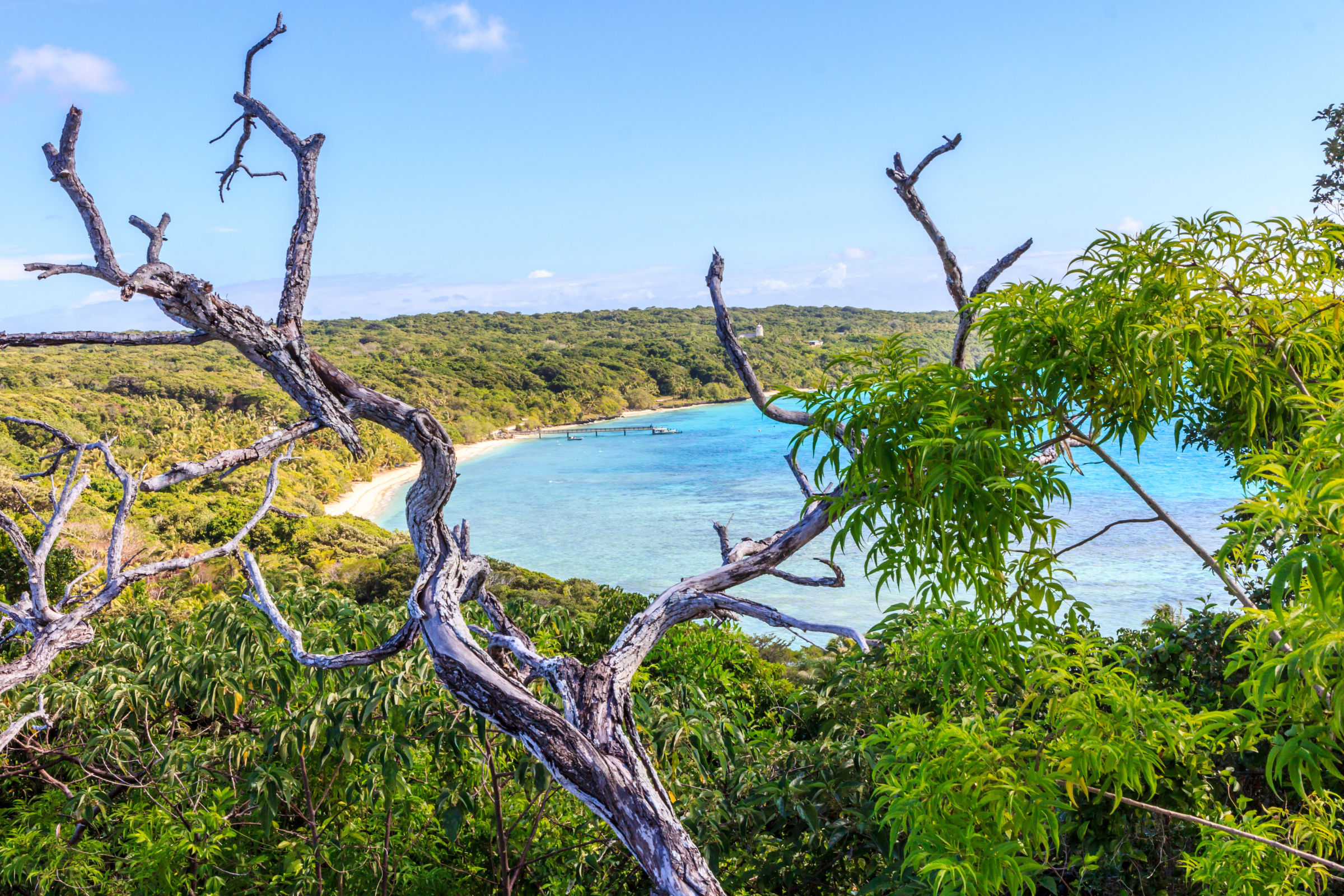 easo, lifou island (3).webp